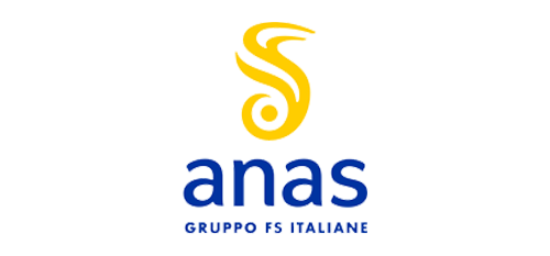 logo anas