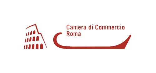 logo camera commercio